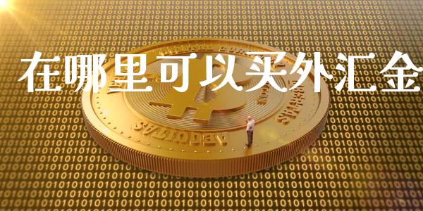 在哪里可以买外汇金_https://wap.lxcailiao.com_融资担保_第1张