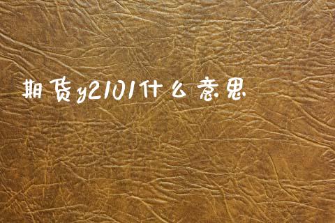 期货y2101什么意思_https://wap.lxcailiao.com_融资担保_第1张