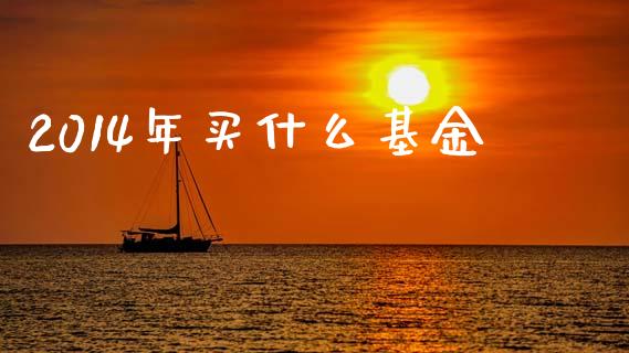 2014年买什么基金_https://wap.lxcailiao.com_股权投资_第1张