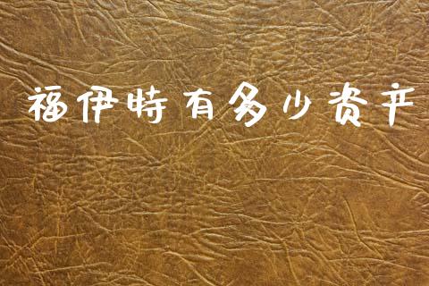 福伊特有多少资产_https://wap.lxcailiao.com_金融监管_第1张