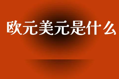 欧元美元是什么_https://wap.lxcailiao.com_金融监管_第1张