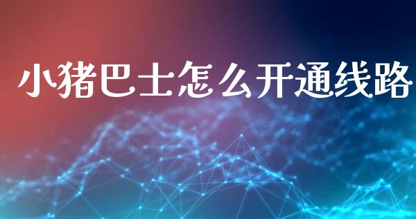 小猪巴士怎么开通线路_https://wap.lxcailiao.com_金融监管_第1张