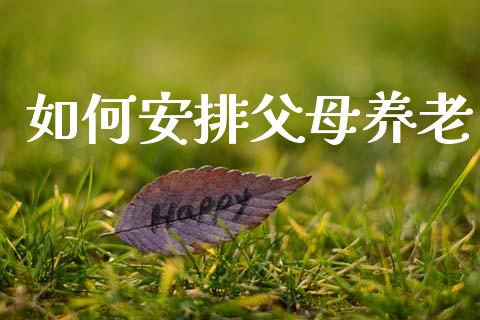 如何安排父母养老_https://wap.lxcailiao.com_财务管理_第1张