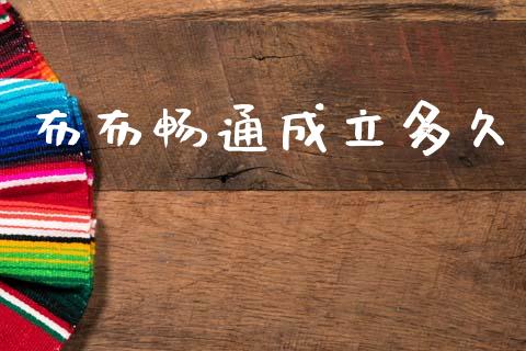 布布畅通成立多久_https://wap.lxcailiao.com_融资担保_第1张