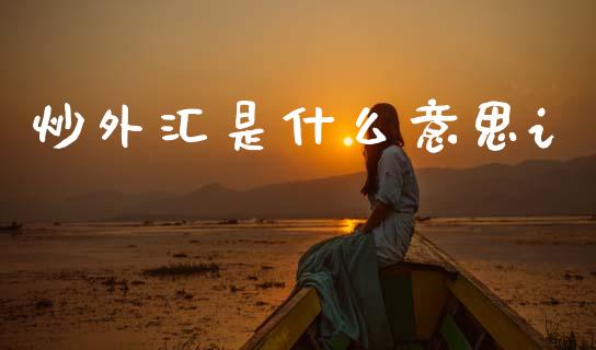 炒外汇是什么意思i_https://wap.lxcailiao.com_金融监管_第1张