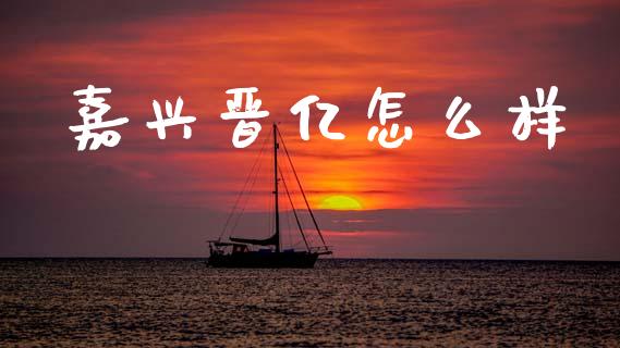 嘉兴晋亿怎么样_https://wap.lxcailiao.com_融资担保_第1张