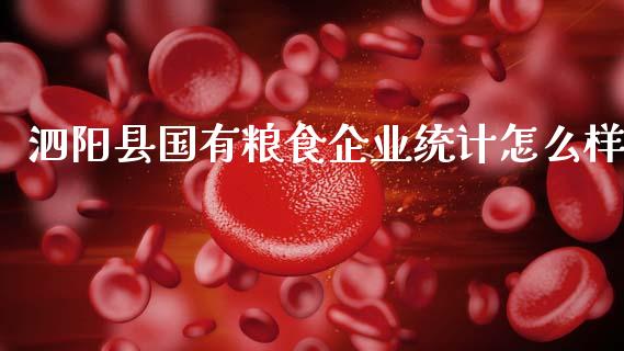 泗阳县国有粮食企业统计怎么样_https://wap.lxcailiao.com_股权投资_第1张