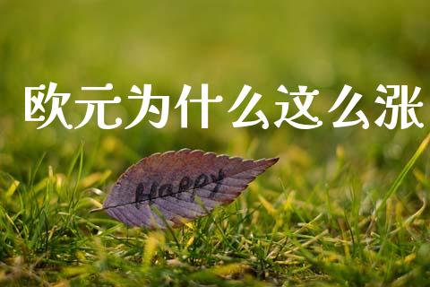欧元为什么这么涨_https://wap.lxcailiao.com_财务管理_第1张