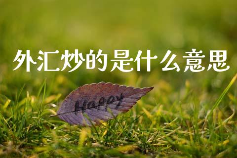外汇炒的是什么意思_https://wap.lxcailiao.com_财务管理_第1张