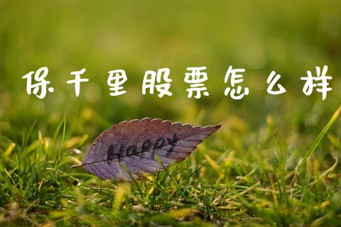 保千里股票怎么样_https://wap.lxcailiao.com_融资担保_第1张