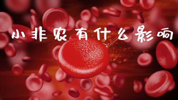 小非农有什么影响_https://wap.lxcailiao.com_金融监管_第1张