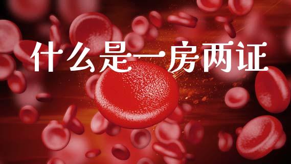 什么是一房两证_https://wap.lxcailiao.com_财务管理_第1张