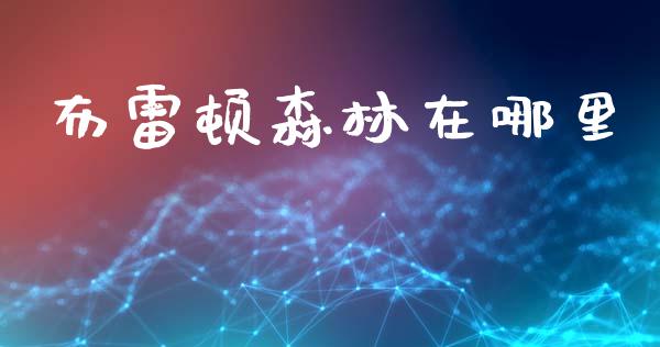 布雷顿森林在哪里_https://wap.lxcailiao.com_财务管理_第1张