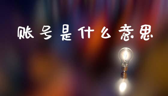 账号是什么意思_https://wap.lxcailiao.com_融资担保_第1张