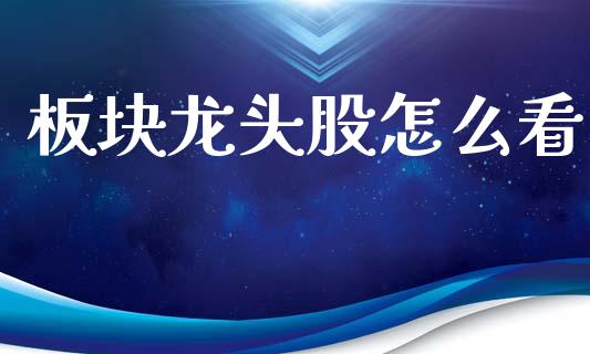 板块龙头股怎么看_https://wap.lxcailiao.com_股权投资_第1张