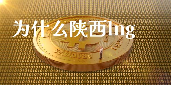 为什么陕西lng_https://wap.lxcailiao.com_财务管理_第1张