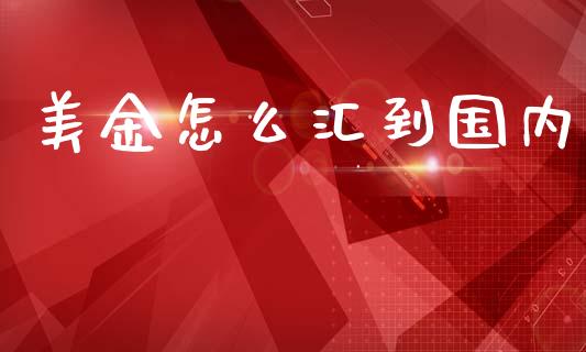 美金怎么汇到国内_https://wap.lxcailiao.com_股权投资_第1张
