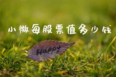 小微每股票值多少钱_https://wap.lxcailiao.com_股权投资_第1张