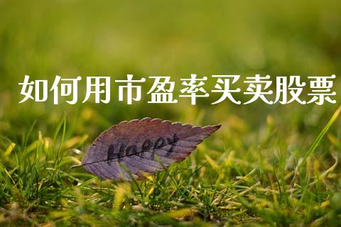 如何用市盈率买卖股票_https://wap.lxcailiao.com_融资担保_第1张