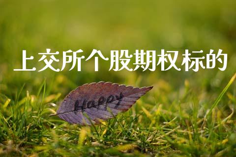 上交所个股期权标的_https://wap.lxcailiao.com_融资担保_第1张