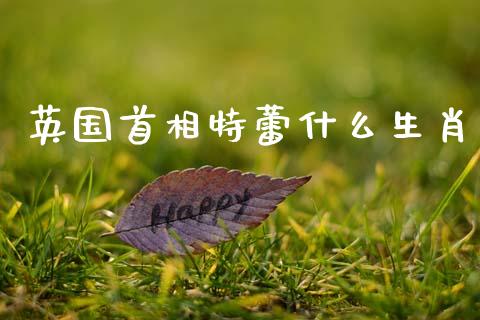 英国首相特蕾什么生肖_https://wap.lxcailiao.com_财务管理_第1张