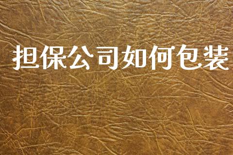 担保公司如何包装_https://wap.lxcailiao.com_财务管理_第1张