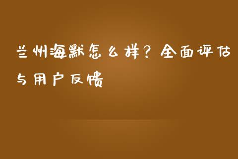 兰州海默怎么样？全面评估与用户反馈_https://wap.lxcailiao.com_股权投资_第1张