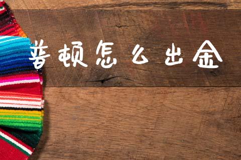 普顿怎么出金_https://wap.lxcailiao.com_股权投资_第1张