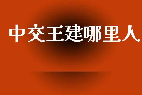 中交王建哪里人_https://wap.lxcailiao.com_股权投资_第1张