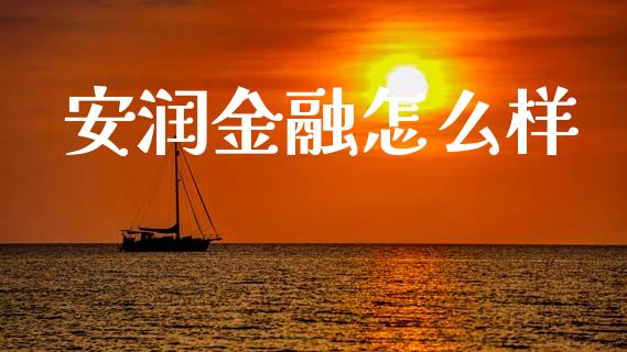 安润金融怎么样_https://wap.lxcailiao.com_金融监管_第1张