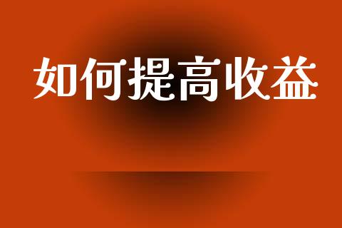 如何提高收益_https://wap.lxcailiao.com_金融监管_第1张