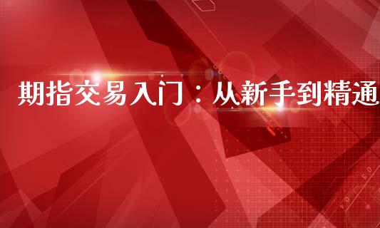 期指交易入门:从新手到精通_财务管理_第1张_金融监管_融资担保_财务管理_股权投资 期指交易入门:从新手到精通_https://wap.lxcailiao.com_财务管理_第1张