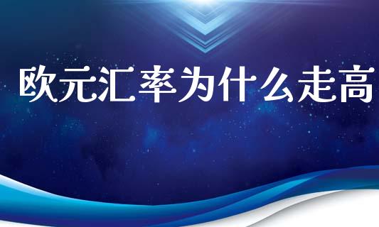 欧元汇率为什么走高_https://wap.lxcailiao.com_融资担保_第1张