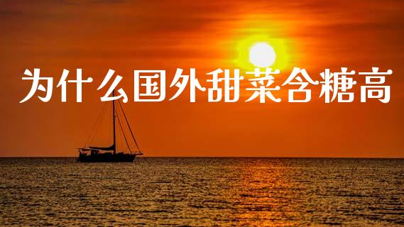 为什么国外甜菜含糖高_https://wap.lxcailiao.com_财务管理_第1张