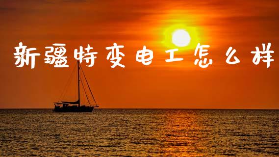 新疆特变电工怎么样_https://wap.lxcailiao.com_股权投资_第1张