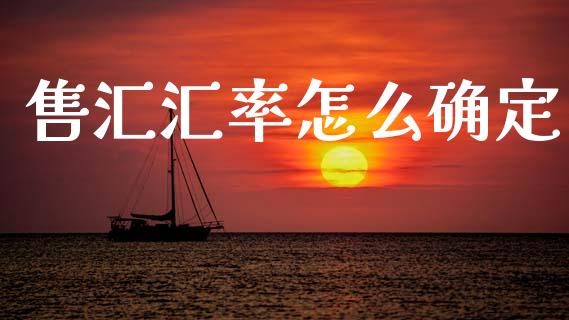 售汇汇率怎么确定_https://wap.lxcailiao.com_财务管理_第1张