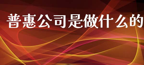 普惠公司是做什么的_https://wap.lxcailiao.com_金融监管_第1张