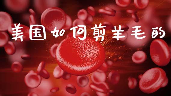 美国如何剪羊毛的_https://wap.lxcailiao.com_融资担保_第1张