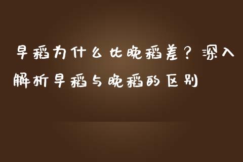 早稻为什么比晚稻差？深入解析早稻与晚稻的区别_https://wap.lxcailiao.com_财务管理_第1张