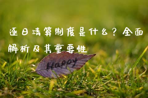 逐日清算制度是什么？全面解析及其重要性_https://wap.lxcailiao.com_金融监管_第1张