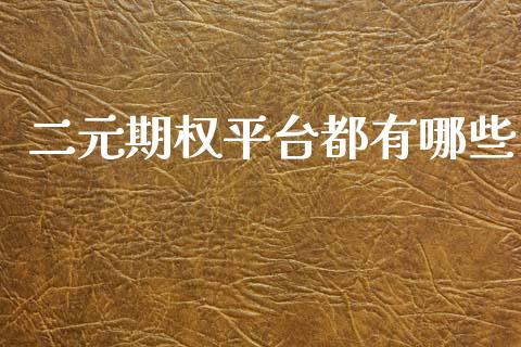 二元期权平台都有哪些_https://wap.lxcailiao.com_金融监管_第1张