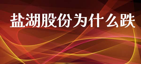 盐湖股份为什么跌_https://wap.lxcailiao.com_融资担保_第1张