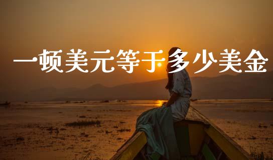 一顿美元等于多少美金_https://wap.lxcailiao.com_股权投资_第1张