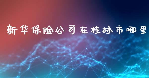 新华保险公司在桂林市哪里_https://wap.lxcailiao.com_融资担保_第1张