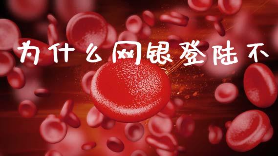 为什么网银登陆不_https://wap.lxcailiao.com_融资担保_第1张