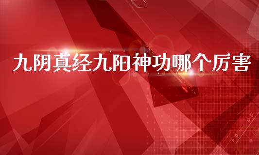 九阴真经九阳神功哪个厉害_https://wap.lxcailiao.com_财务管理_第1张