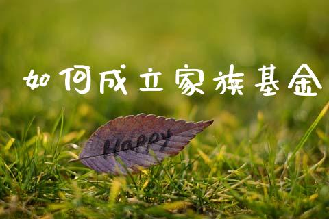 如何成立家族基金_https://wap.lxcailiao.com_财务管理_第1张