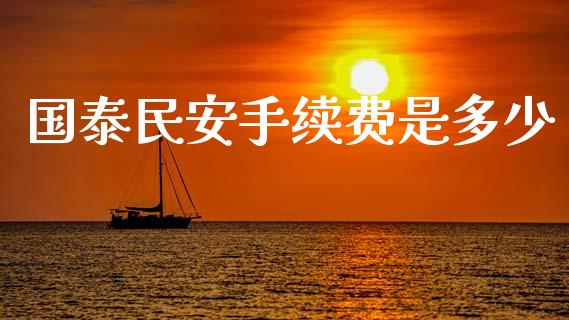 国泰民安手续费是多少_https://wap.lxcailiao.com_融资担保_第1张