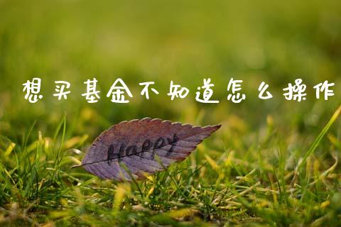 想买基金不知道怎么操作_https://wap.lxcailiao.com_金融监管_第1张