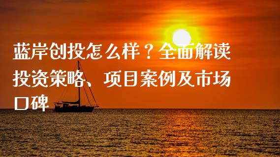 蓝岸创投怎么样？全面解读投资策略、项目案例及市场口碑_https://wap.lxcailiao.com_金融监管_第1张